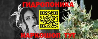 дмт Моздок
