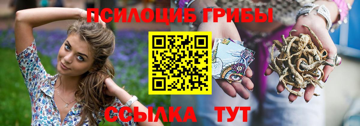 Псилоцибиновые грибы прущие грибы Шелехов