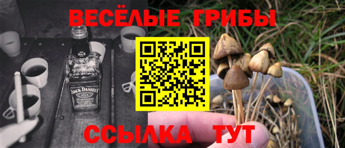 Псилоцибиновые грибы ЛСД  Вход с VPN  хочу   Шелехов 